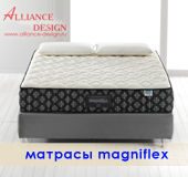magni